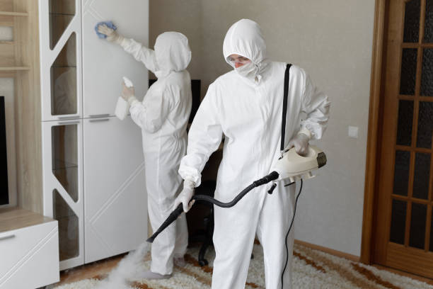 24/7 Emergency Odor Removal experts in Alexandria, VA